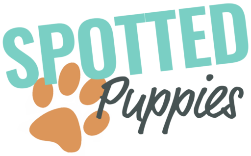 Spotted Puppies FCI